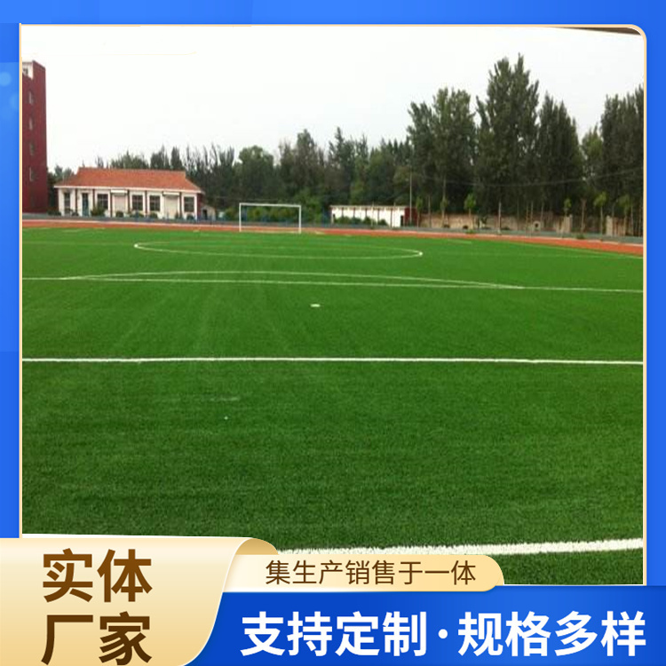 绥化市硅PU人造草坪 - 方案